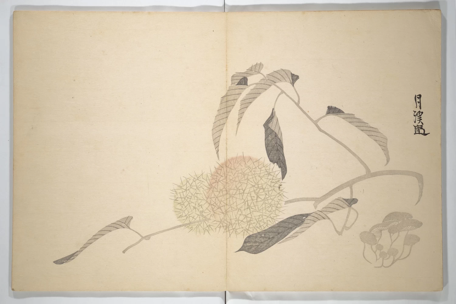 Genki (Komai Ki) - Poesie Haiku, raccolte, Metropolitam Museum of Art